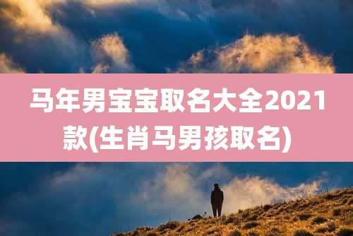 马年男宝宝取名大全2021款(生肖马男孩取名)