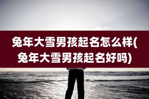 兔年大雪男孩起名怎么样(兔年大雪男孩起名好吗)