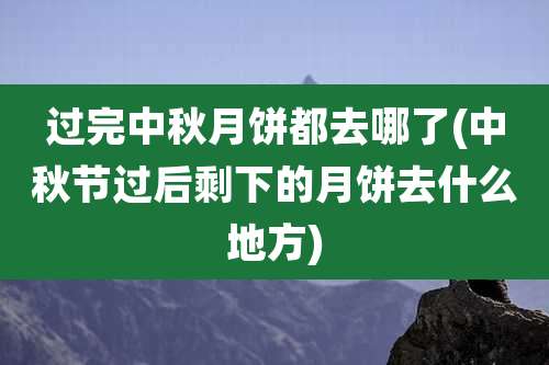 过完中秋月饼都去哪了(中秋节过后剩下的月饼去什么地方)