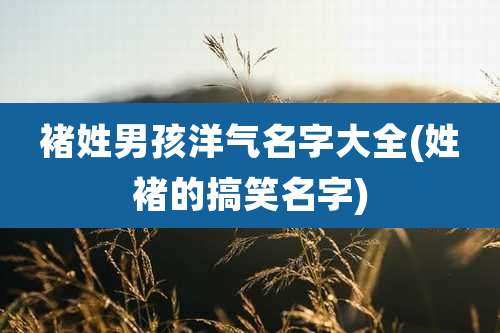 褚姓男孩洋气名字大全(姓褚的搞笑名字)