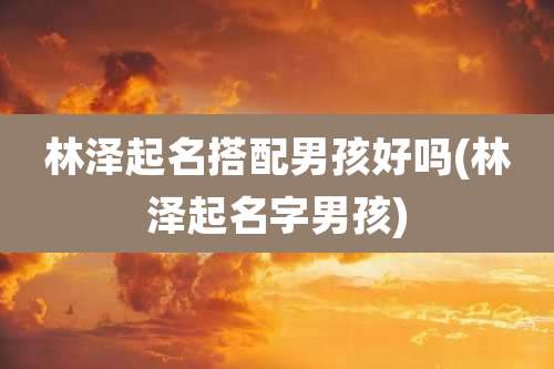 林泽起名搭配男孩好吗(林泽起名字男孩)