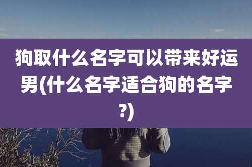 狗取什么名字可以带来好运男(什么名字适合狗的名字?)