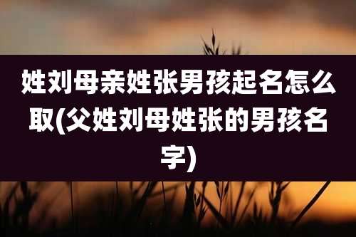 姓刘母亲姓张男孩起名怎么取(父姓刘母姓张的男孩名字)
