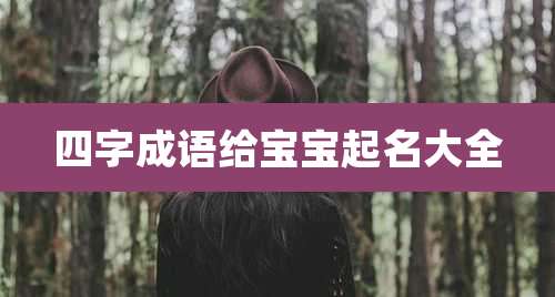 四字成语给宝宝起名大全