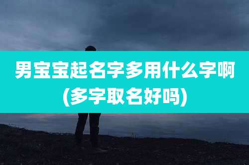 男宝宝起名字多用什么字啊(多字取名好吗)