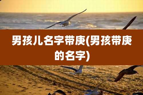 男孩儿名字带庚(男孩带庚的名字)