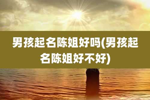 男孩起名陈姐好吗(男孩起名陈姐好不好)