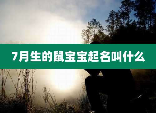 7月生的鼠宝宝起名叫什么