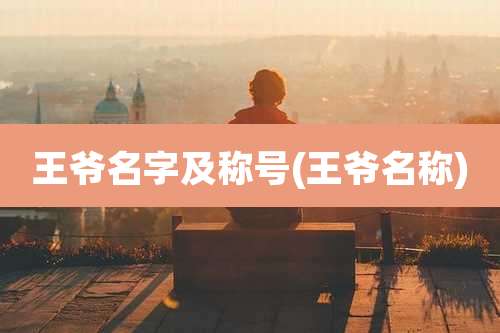 王爷名字及称号(王爷名称)