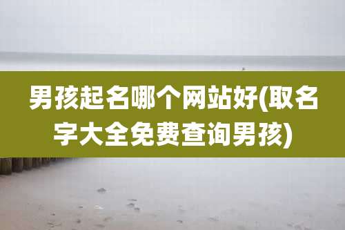 男孩起名哪个网站好(取名字大全免费查询男孩)