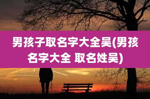 男孩子取名字大全吴(男孩名字大全 取名姓吴)