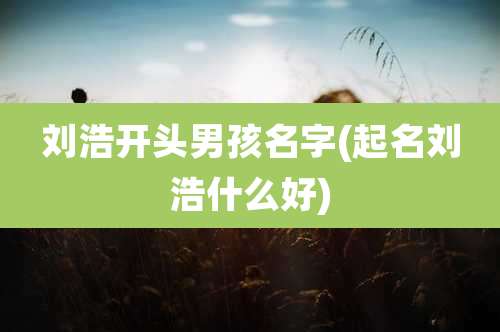 刘浩开头男孩名字(起名刘浩什么好)