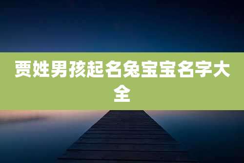 贾姓男孩起名兔宝宝名字大全