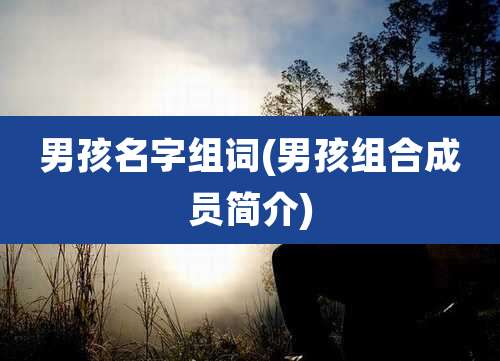 男孩名字组词(男孩组合成员简介)