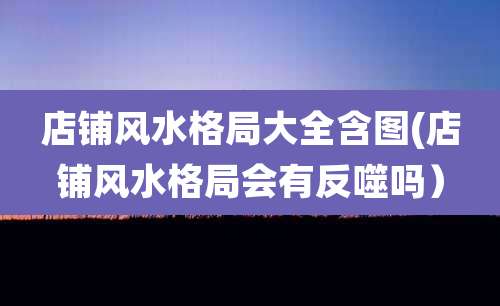 店铺风水格局大全含图(店铺风水格局会有反噬吗）