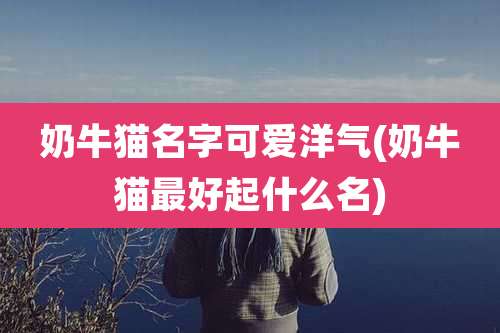 奶牛猫名字可爱洋气(奶牛猫最好起什么名)