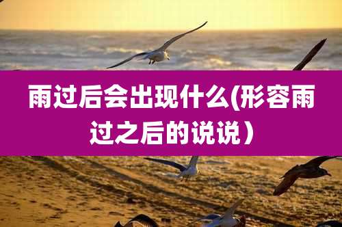 雨过后会出现什么(形容雨过之后的说说)
