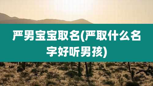 严男宝宝取名(严取什么名字好听男孩)