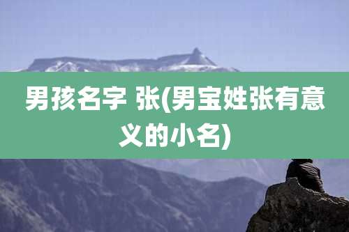 男孩名字 张(男宝姓张有意义的小名)