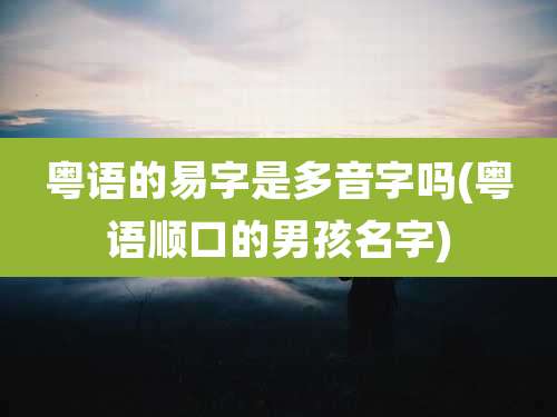 粤语的易字是多音字吗(粤语顺口的男孩名字)