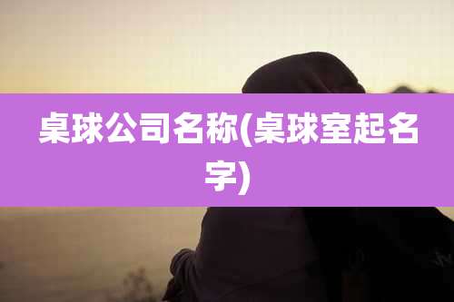 桌球公司名称(桌球室起名字)