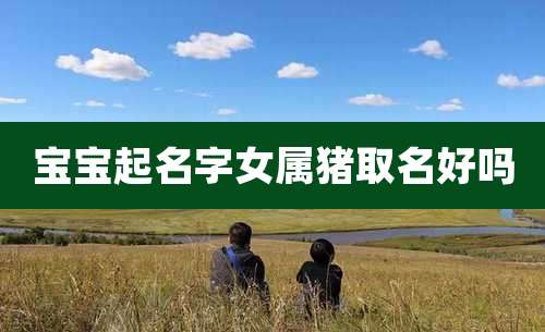 宝宝起名字女属猪取名好吗