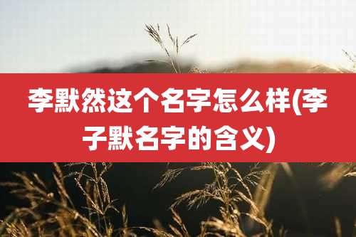 李默然这个名字怎么样(李子默名字的含义)