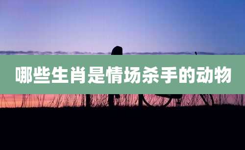 哪些生肖是情场杀手的动物