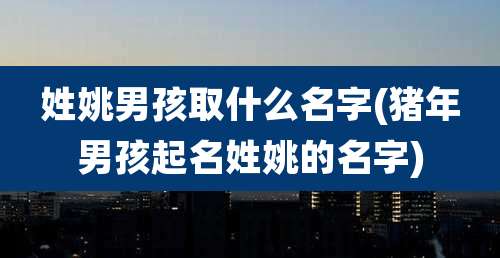 姓姚男孩取什么名字(猪年男孩起名姓姚的名字)