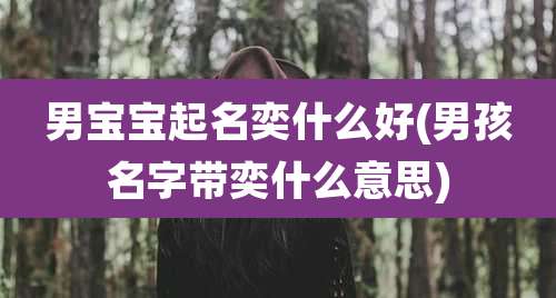 男宝宝起名奕什么好(男孩名字带奕什么意思)