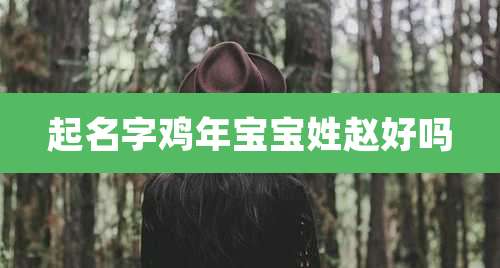 起名字鸡年宝宝姓赵好吗