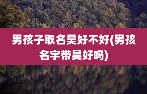 男孩子取名昊好不好(男孩名字带昊好吗)