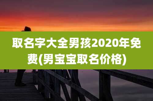 取名字大全男孩2020年免费(男宝宝取名价格)