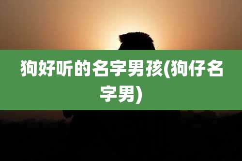 狗好听的名字男孩(狗仔名字男)
