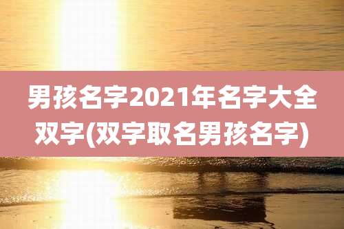 男孩名字2021年名字大全双字(双字取名男孩名字)