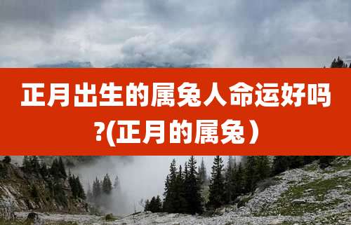 正月出生的属兔人命运好吗?(正月的属兔)