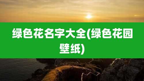 绿色花名字大全(绿色花园壁纸)