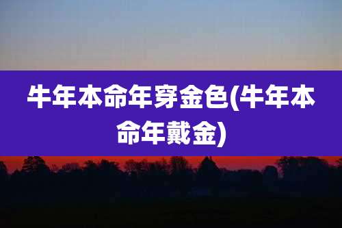 牛年本命年穿金色(牛年本命年戴金)