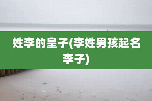 姓李的皇子(李姓男孩起名李子)