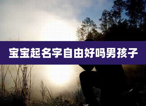 宝宝起名字自由好吗男孩子