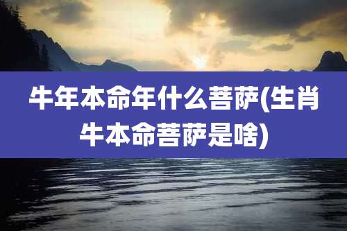 牛年本命年什么菩萨(生肖牛本命菩萨是啥)