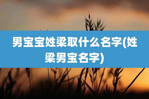 男宝宝姓梁取什么名字(姓梁男宝名字)