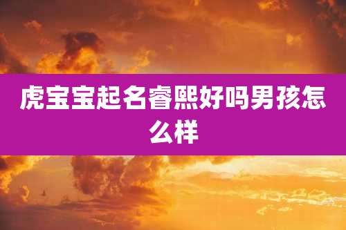 虎宝宝起名睿熙好吗男孩怎么样