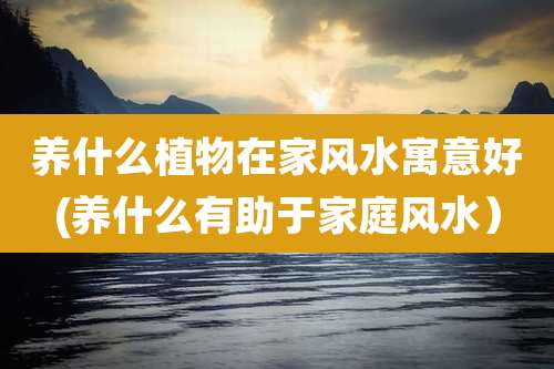 养什么植物在家风水寓意好(养什么有助于家庭风水）