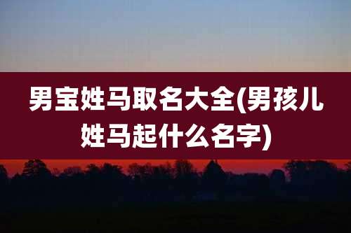 男宝姓马取名大全(男孩儿姓马起什么名字)