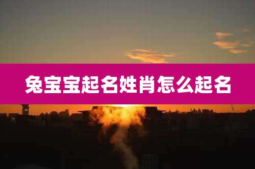 兔宝宝起名姓肖怎么起名