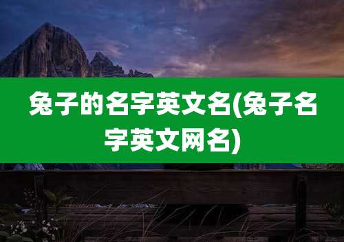 兔子的名字英文名(兔子名字英文网名)