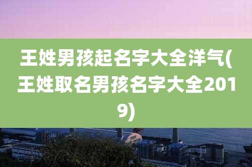 王姓男孩起名字大全洋气(王姓取名男孩名字大全2019)