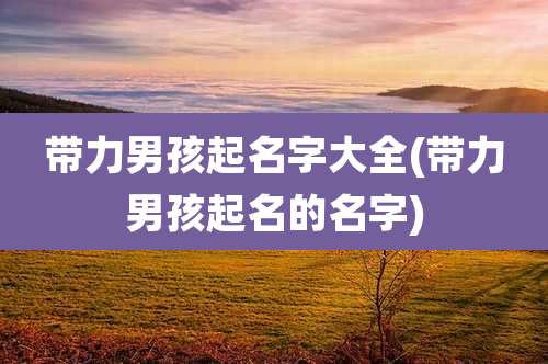 带力男孩起名字大全(带力男孩起名的名字)