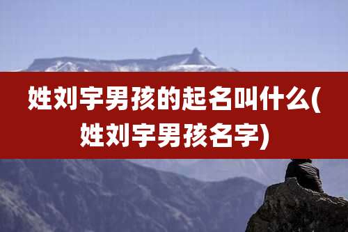 姓刘宇男孩的起名叫什么(姓刘宇男孩名字)